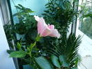 P1140463