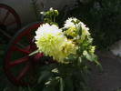 Picture 090