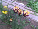 Imag046