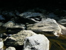 DSCF5210