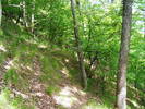 DSCF0575
