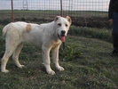 poze 01.05.2009 079