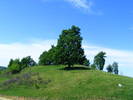 DSCF0635