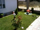 Fotografii-0012