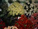 DSC00083