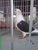 DSC05198