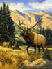 Elk Mountain_jpg