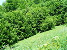 DSCF1053