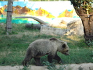 Picture 021