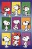 snoopy (22)