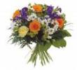 images (9)