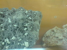 DSC00500
