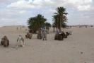 Tunisia_381