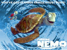 nemo-tortuga-y-cria-875820[1]