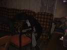 PICT0123