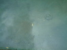 IMAG0027