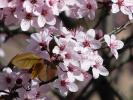 IMG_3417