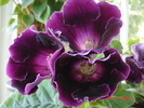 DSC02637