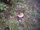 PICT0277