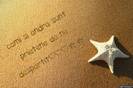 captionit141250I848D36