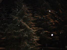 DSC01089