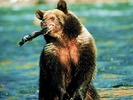 webshots348