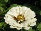 Picture 021
