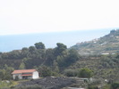 DSCN2471