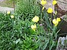X-IMG_0047