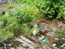 DSCF5097