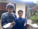 gatgolas+