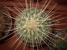 DSCF0848