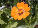Picture 027