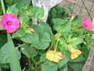 DSC09710