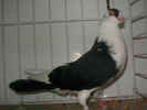 SANY0112