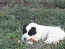 poze 04.05.2009 134
