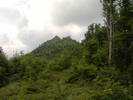 DSCF6132
