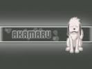 Akamaru