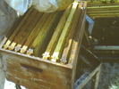 DSCN1963