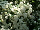 P1120007