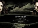 The_Twilight_Saga_New_Moon_1241027786_0_2009