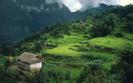 Num_Village