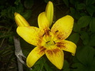 DSCI0815