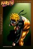 ch287p01 - nixuboy