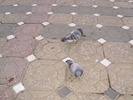 P9040085
