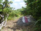 DSCF4168