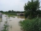 inundatii (84)