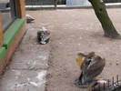 Picture 301