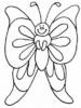 normal_fluture[1]