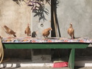 IMG_3963